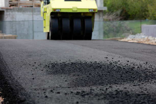 Best Decorative Driveway Pavers  in Trenton, FL