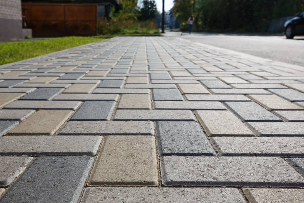 Best Driveway Paving Contractor  in Trenton, FL
