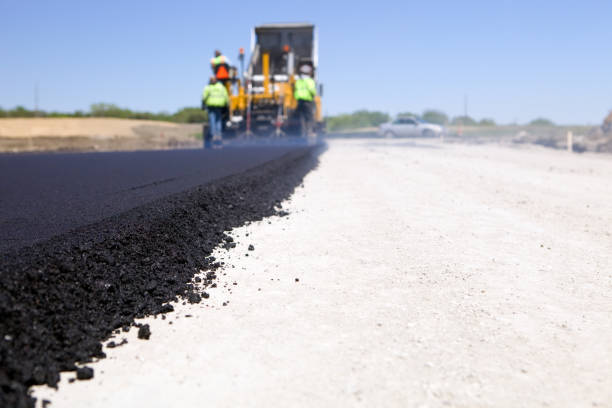 Best Custom Driveway Pavers  in Trenton, FL