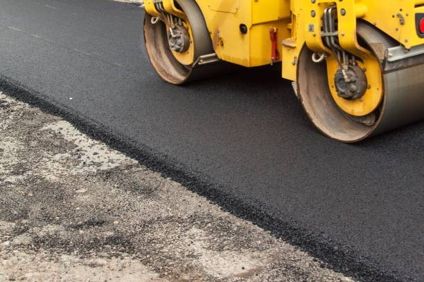 Best Custom Driveway Pavers  in Trenton, FL