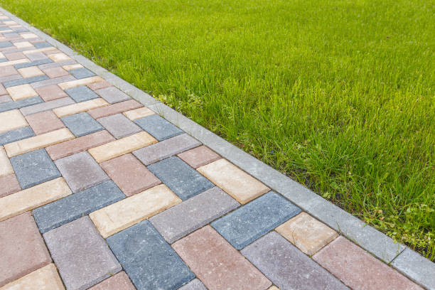Best Decorative Driveway Pavers  in Trenton, FL